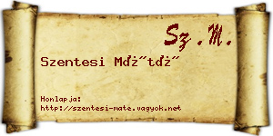 Szentesi Máté névjegykártya