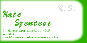 mate szentesi business card
