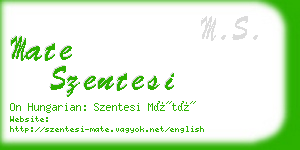 mate szentesi business card